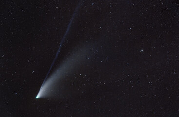 Obraz na płótnie Canvas Cometa C2020 F3 NEOWISE nel cielo