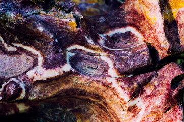 brown-pink stone texture with smooth lines