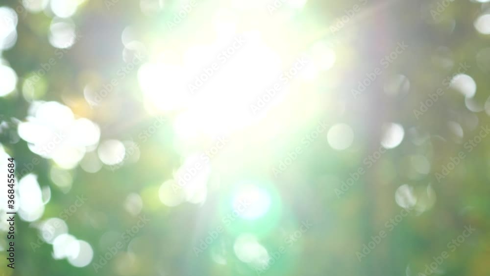 Poster blurred background bokeh from leaves and sunlight. nature view of green leaf on blurred greenery bac