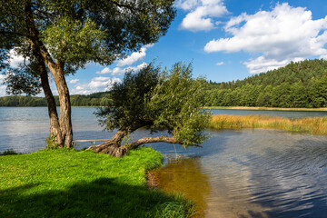 Fototapeta na wymiar Sunny summer day by lake. taken by Lithuania