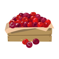 Wooden box with cherries. Vector illustration. Isolated on white background.
