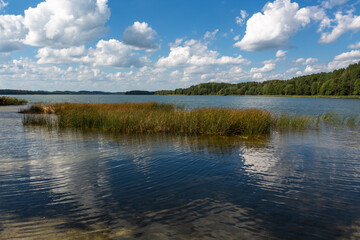 Sunny summer day by lake. taken by Lithuania
