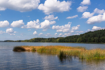 Sunny summer day by lake. taken by Lithuania