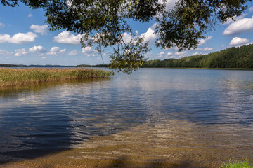 Sunny summer day by lake. taken by Lithuania