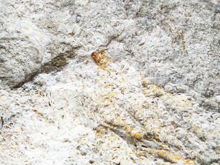 the texture of a stone wall.