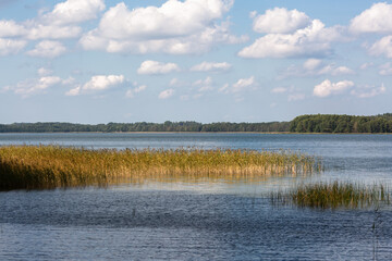 Sunny summer day by lake. taken by Lithuania