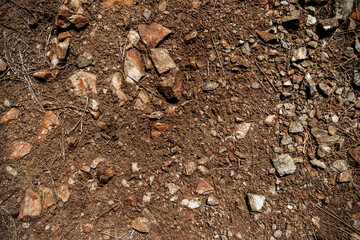 Rock background Stony soil Earth texture. Ground and stones