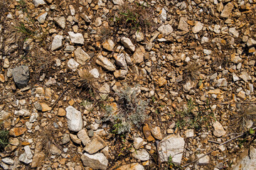 Soil background. Stony ground. Ground and stones. Crushed stones. Green grass