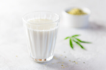Obraz na płótnie Canvas A glass of hemp milk on a gray table. Healthy food, protein.