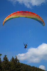 Parapentiste survolant la forêt du mont Mézenc en Ardèche