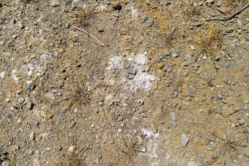 Soil. Ground texture. Soil background. Abstract nature pattern. Stony ground. Green grass