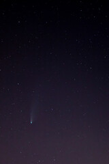 Cometa Neowise