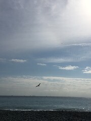 午後のひととき！海は最高！