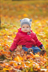 happy boy and fallen leaves playing in autumn park.