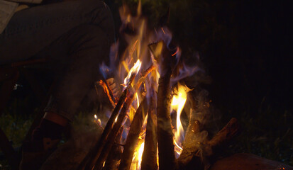 Bonfire in the forest