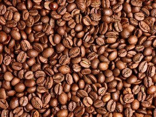 coffee bean brown roasted caffeine espresso seed
