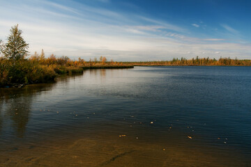 Autumn north dcenery with clear water, yellow trees and blue sky. Leaves are floating in the water