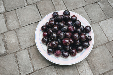 A lot of blue, purple cherry plums are collected on a plate. Large harvest of fruits from the tree,...
