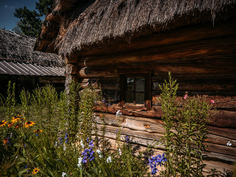 Wooden house with flower garden in ethnic open air museum Pirogovo in Kiev, Ukraine