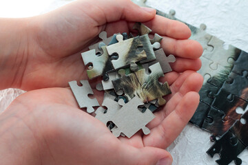 Puzzles in children's pens. Board game puzzle.