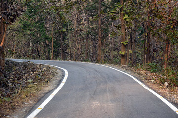 Beautiful picture of clean road and jungle in nainital uttarakhand india