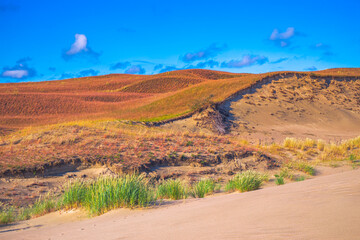 Beautiful Grey Dunes, Dead Dunes at the Curonian Spit in Nida, Neringa, Lithuania