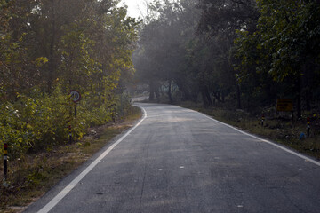 Fototapeta na wymiar Beautiful picture of jungle road