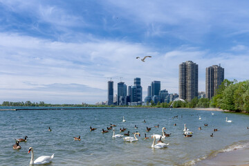 Ontario Lake Shore in Toronto, Ontario, Canada