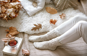 Cozy autumn at home, a woman with tea and a book.