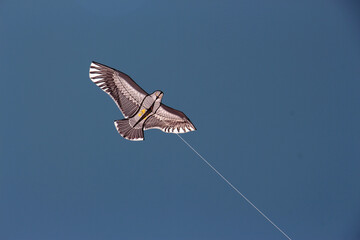 Kites used for chasing flocks of birds, flying  fake bird.