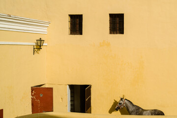 Stables, and bullfighting horses in the Bullring In Ronda, Andalusia, Spain