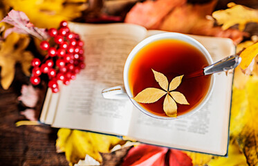 Naklejka na ściany i meble autumn still life with a cup of tea