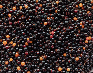 Background of currant berries in a basket. Delicious food, dessert. vitamin C