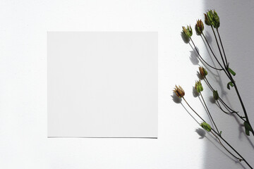 Flat lay. White postcard and green flowers on a textured white paper background. Natural light casts a shadow from the plants. Great for portfolio and mockup designs.