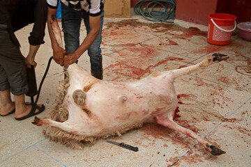 butchers inflate the carcass of a lamb to separate the skin