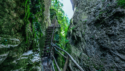 Wooden stairway in the mountain, dangerous place. Extreme travelling at the mossy forest. Pathway in a rock rift.
