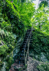 Wooden stairway in the mountain, dangerous place. Extreme travelling at the mossy forest. Pathway in a rock rift.