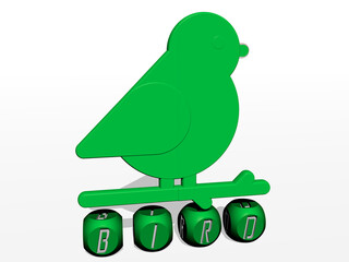 3D illustration of BIRD graphics and text made by metallic dice letters for the related meanings of the concept and presentations. animal and background