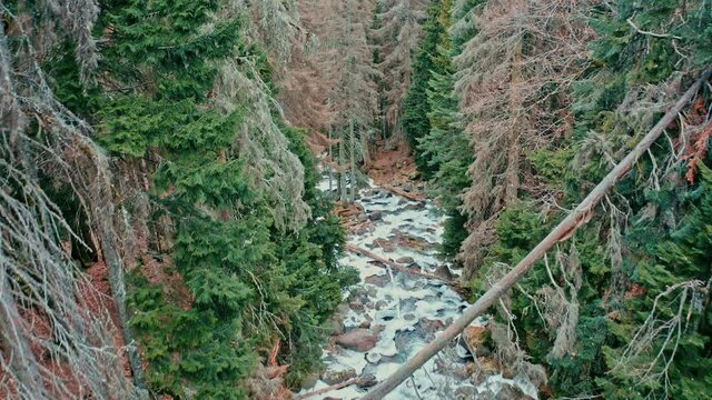 Mountain river with ice with waterfalls in a green forest in winter, flight