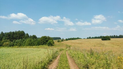 Fototapeta premium panoramic landscape with a road in a field against a blue sky with clouds