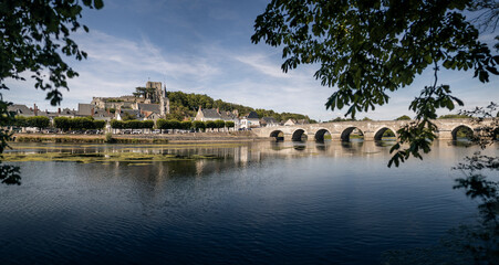 Montrichard city castle and bridge across the river © Bobby Briggs