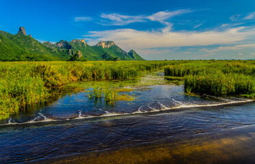 reed park and mountain belong is ecology