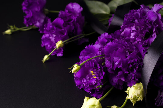 Funeral purple flowers of eustoma on a black background. Copy space