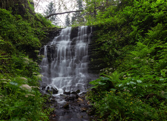 beautiful waterfall in green forest in the Carpathians. A wonderful corner of wildlife. Waterfall among summer greenery in rainy weather.