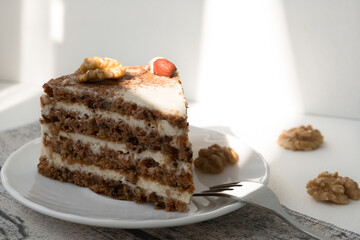 piece of chocolate cake