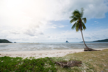 coconut tree Soft wave of the sea on the sandy beach at KOH YAO NOI Thailand