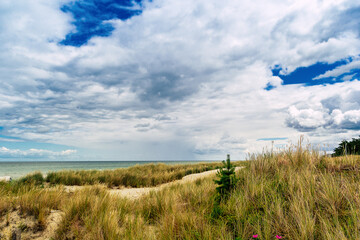 Dunes on the Baltic Sea coast.