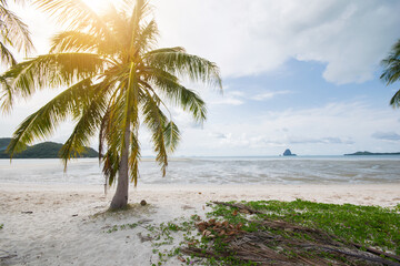 Fototapeta na wymiar coconut tree Soft wave of the sea on the sandy beach at KOH YAO NOI Thailand