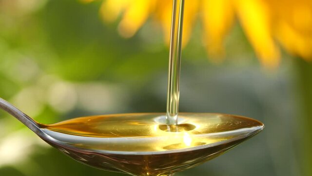 Slow motion of pouring sunflower oil liquid into spoon over yellow flower background with sun rays