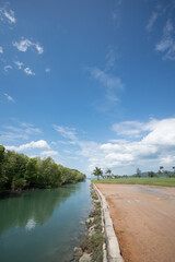 blue sky up above river